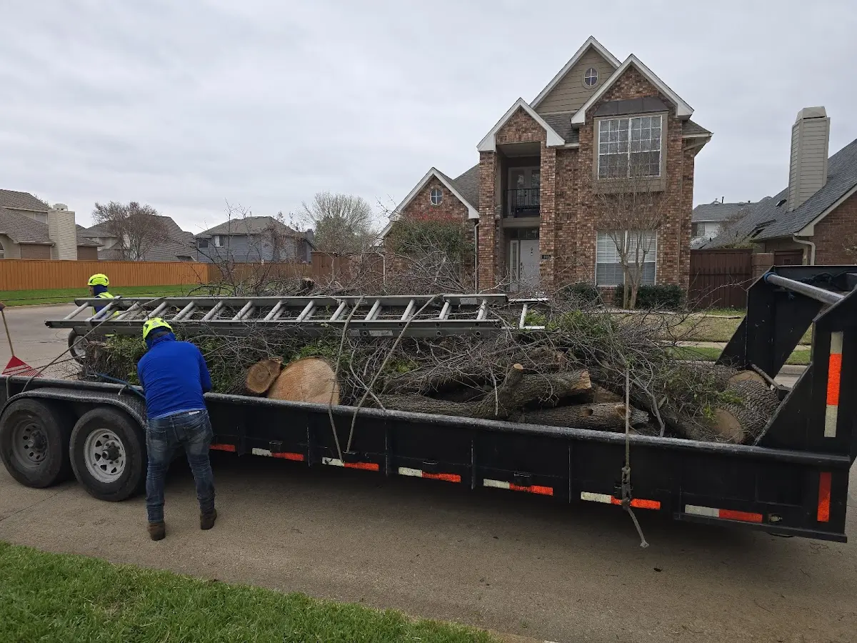 Expert Lot Clearing with proper safety equipment in Sanger